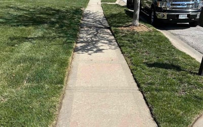 Photo of Michael M.'s yard after getting lawn care in Kansas City, KS