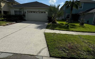 Photo of Tyler H.'s yard after getting lawn care in Carrollwood, FL