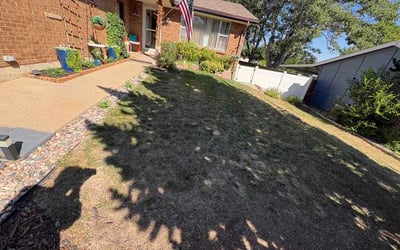 Photo of Lauren M.'s yard after getting lawn care in Griffith, IN