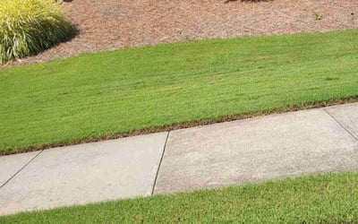 Photo of Eric M.'s yard after getting lawn care in Dawsonville, GA