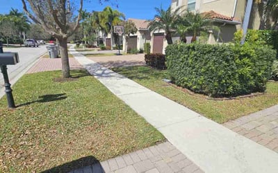 Photo of Donnie B.'s yard after getting lawn care in Boynton Beach, FL