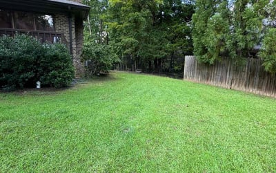 Photo of Doug L.'s yard after getting lawn care in Dallas, NC