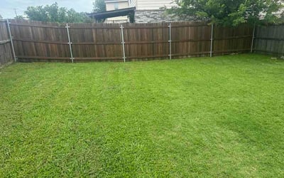Photo of Ari H.'s yard after getting lawn care in Framingham, MA