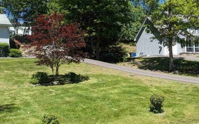 Photo of John M.'s yard after getting lawn care in Sioux Falls, SD