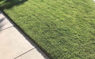 Photo of Connor P.'s yard after getting lawn care in Forest Park, GA