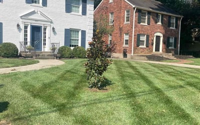 Photo of Michael M.'s yard after getting lawn care in Taylorsville, KY