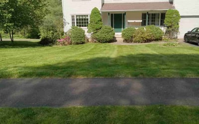 Photo of Savannah S.'s yard after getting lawn care in Farmington, CT