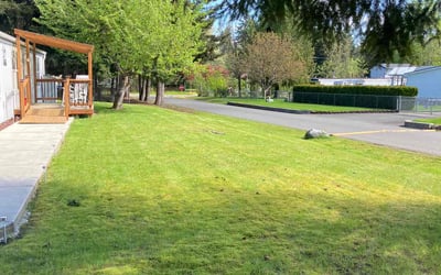 Photo of Maria S.'s yard after getting lawn care in Bonney Lake, WA