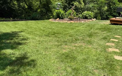 Photo of John D.'s yard after getting lawn care in Greenville, SC