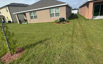 Photo of Veronica P.'s yard after getting lawn care in Rockledge, FL