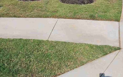 Photo of Nakita I.'s yard after getting lawn care in Quinlan, TX