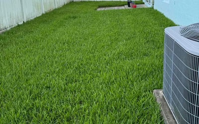 Photo of Brian B.'s yard after getting lawn care in Middleburg, FL