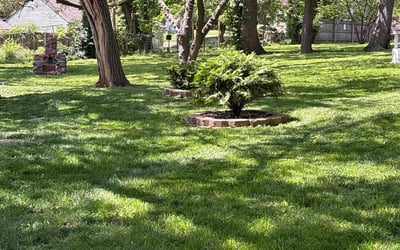 Photo of Kirt B.'s yard after getting lawn care in Erlanger, KY