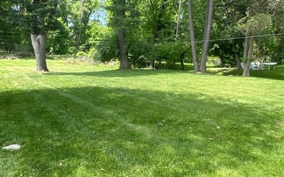 Photo of Elizabeth H.'s yard after getting lawn care in Telford, PA