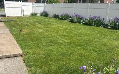 Photo of Tamiara S.'s yard after getting lawn care in Hellertown, PA