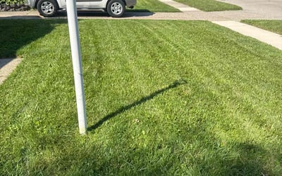 Photo of Mason M.'s yard after getting lawn care in Brentwood, TN