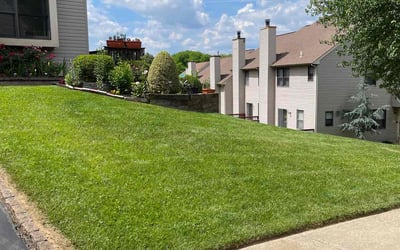 Photo of Robert D.'s yard after getting lawn care in Langhorne, PA