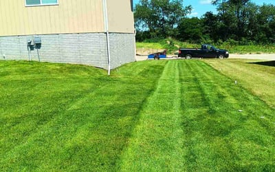 Photo of Lecia M.'s yard after getting lawn care in Bellevue, NE