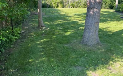 Photo of Linh H.'s yard after getting lawn care in Holbrook, NY