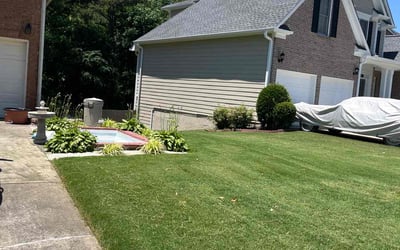 Photo of Viktoria D.'s yard after getting lawn care in Flowery Branch, GA