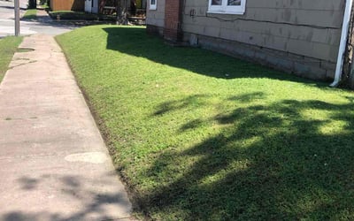 Photo of Diane K.'s yard after getting lawn care in Washougal, WA