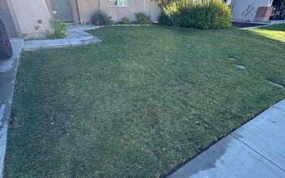 Photo of Justin W.'s yard after getting lawn care in Hazel Green, AL