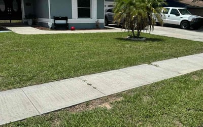 Photo of Corey W.'s yard after getting lawn care in Carrollton, GA