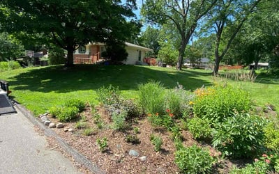 Photo of John M.'s yard after getting lawn care in Dover, FL