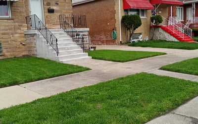Photo of Deanna S.'s yard after getting lawn care in East Chicago, IN