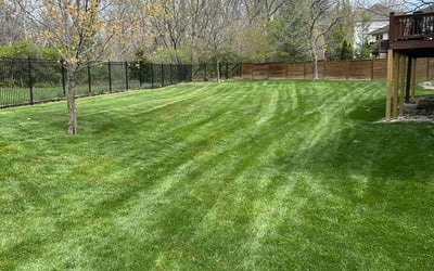 Photo of Paul S.'s yard after getting lawn care in Lawson, MO
