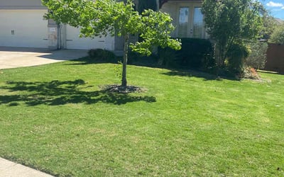 Photo of Dean H.'s yard after getting lawn care in Dripping Springs, TX