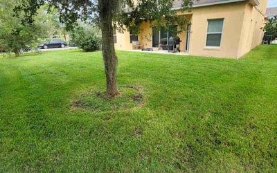 Photo of Sue C.'s yard after getting lawn care in Malibu, CA