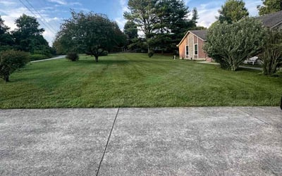 Photo of Shantell B.'s yard after getting lawn care in East Syracuse, NY