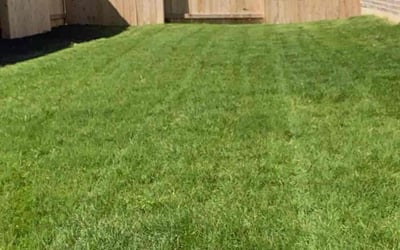 Photo of Pa Y.'s yard after getting lawn care in Leander, TX
