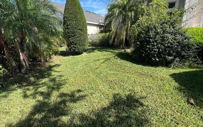 Photo of Christopher J.'s yard after getting lawn care in Daly City, CA