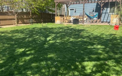 Photo of Shae D.'s yard after getting lawn care in Houston, TX