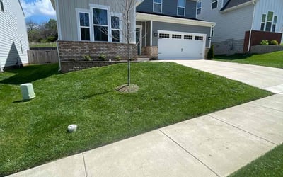 Photo of Zachary M.'s yard after getting lawn care in Nashville, TN
