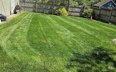 Photo of Kate B.'s yard after getting lawn care in Maplewood, NJ