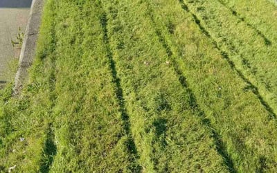 Photo of Tiffiny H.'s yard after getting lawn care in North Versailles, PA