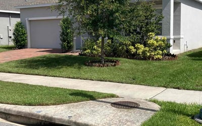 Photo of Jeff P.'s yard after getting lawn care in Mount Dora, FL