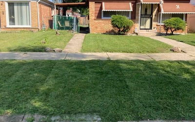 Photo of Dan R.'s yard after getting lawn care in Bremerton, WA