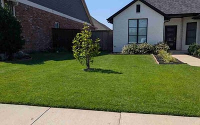 Photo of Michael P.'s yard after getting lawn care in Jarrell, TX