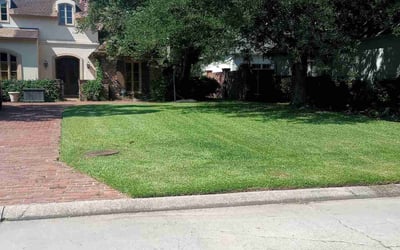Photo of Bendu J.'s yard after getting lawn care in Houma, LA