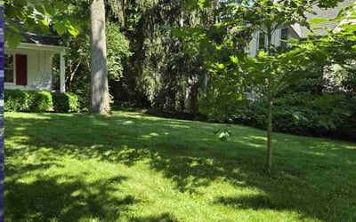 Photo of Rolland W.'s yard after getting lawn care in San Diego, CA