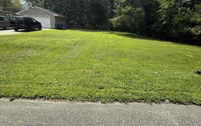 Photo of Veronica L.'s yard after getting lawn care in Suitland, MD