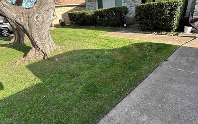 Photo of Darleen C.'s yard after getting lawn care in Haltom City, TX