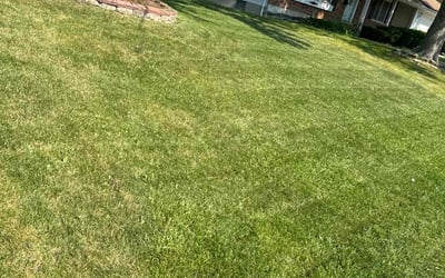 Photo of Amanda F.'s yard after getting lawn care in Country Club Hills, IL