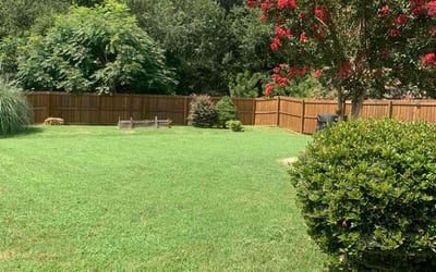 Photo of Brad J.'s yard after getting lawn care in La Follette, TN