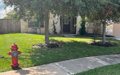 Photo of Sarah L.'s yard after getting lawn care in Kissimmee, FL