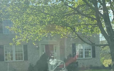 Photo of Mary B.'s yard after getting lawn care in Bridgeville, PA